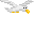 Seagull